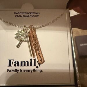 Swarovski Silver and Gold Family Necklace